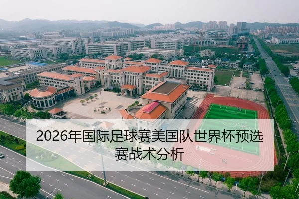2026年国际足球赛美国队世界杯预选赛战术分析