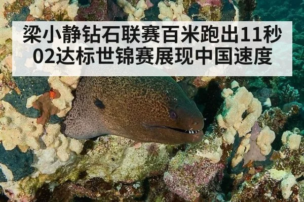 梁小静钻石联赛百米跑出11秒02达标世锦赛展现中国速度